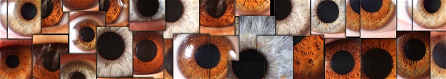 Human Eyes