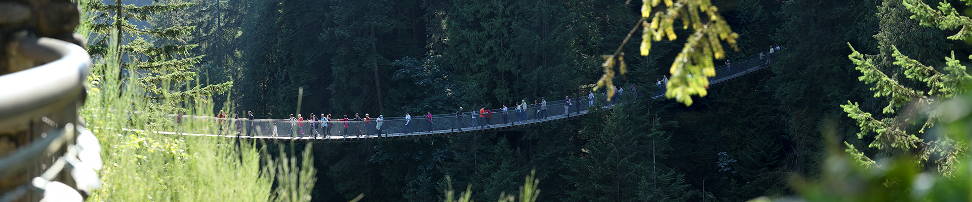 Capilano Suspension Bridge